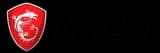 MSI